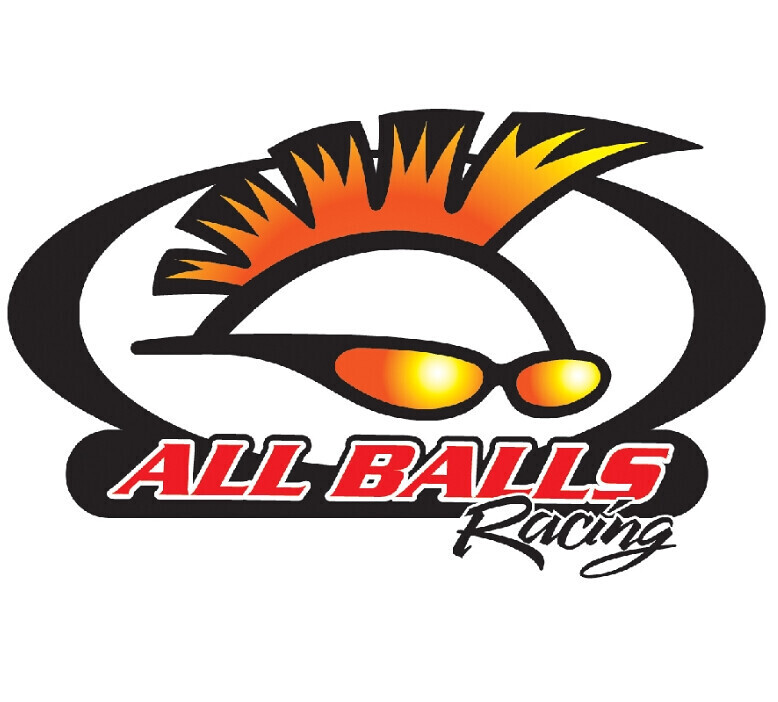All Balls Racing 18-3201 Caliper Rebuild Kit