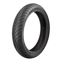 Eurogrip Roadhound 120/60ZR17 Front Tubeless Tyre (55W Rating, Radial)