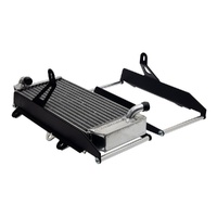 CrossPro Black Radiator Guard for 2025 Beta RR 300 Race 2T