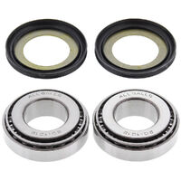 Steering Bearing & Seal Kit for 2017 Harley Davidson 1803 FLSTFBS Fat Boy S