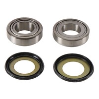Steering Bearing & Seal Kit for 2017-2023 Yamaha AG125 