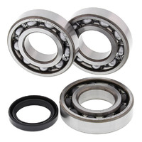 Main Bearings & Seal Kit for 2003-2004 Polaris 400 Sportsman 