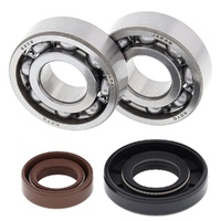 2002-2008 KTM 50 SX All Balls Crank Shaft Bearing Kit