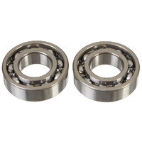 Main Bearings & Seal Kit for 1991-2004 Yamaha YFA1 