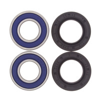 Rear Wheel Bearing & Seal Kit for 2011-2024 Beta Evo 2T 250 
