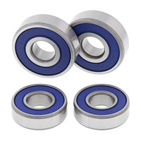 Rear Wheel Bearing & Seal Kit for 1973-1975 Suzuki TS100 