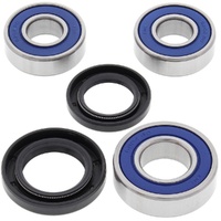 Rear Wheel Bearing & Seal Kit for 1984-2020 Yamaha AG200 
