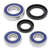 Rear Wheel Bearing & Seal Kit for 2010-2012 Triumph 1050 Tiger SE 