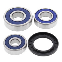 Rear Wheel Bearing & Seal Kit for 1969 Kawasaki H1 500 Mach III 