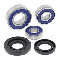 All Balls Rear Wheel Bearing Kit for 2020-2022 KTM 390 Adventure