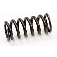 Psychic Intake Valve Spring for 2001-2013 Yamaha YZ250F