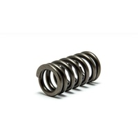 Psychic Intake Valve Spring for 2016-2020 Yamaha WR450F