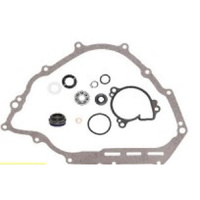 Psychic Water Pump Rebuild Kit for 2019-2020 Yamaha YXM700 Viking