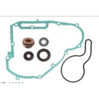 Psychic Water Pump Rebuild Kit for 2011-2014 Polaris Sportsman 800 EFI Big Boss