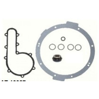 Psychic Water Pump Rebuild Kit for 2013-2016 Polaris Scrambler 850