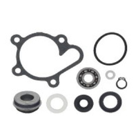 Psychic Water Pump Rebuild Kit for 2006-2010 Yamaha YFM450 Wolverine