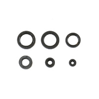 Athena Engine Oil Seal Kit for 2004-2007 Honda TRX400 FA / FGA