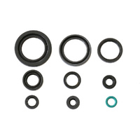 Athena Engine Oil Seal Kit for 2006-2013 Honda TRX450R
