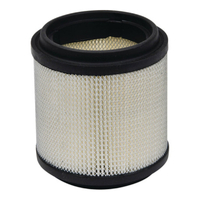 Air Filter for 1990-2000 Polaris 250 Trailblazer 