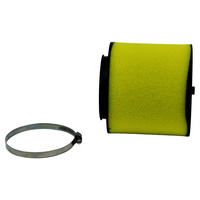 Air Filter for 2004 Honda TRX500FGA 