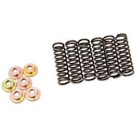 Barnett Clutch Springs for 2018-2025 Yamaha XSR700