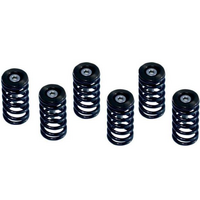 Barnett Clutch Springs for 1994-2002 Ducati 900 Supersport