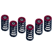 Barnett Clutch Springs for 2004 Ducati ST3