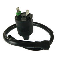 Arrowhead Ignition Coil for 1989-1990 Honda FL400