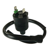 Arrowhead Ignition Coil for 1986 Honda TLR200