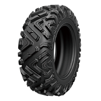 Arisun AR69 6-Ply ATV Tyre - 25X10R12 NHS TL