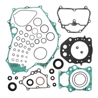 Complete Gasket Kit & Oil Seals for 2009-2013 Honda TRX420FA