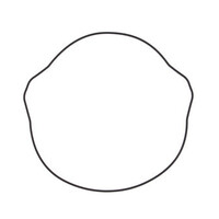 Outer Clutch Cover Gasket for 1996-2004 Honda XR400R