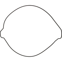 Outer Clutch Cover Gasket for 2024-2025 GasGas EC250