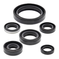 Oil Seal Kit for 1997-2007 Kawasaki KLX300R