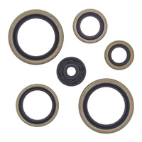 Oil Seal Kit for 2015-2016 Husqvarna TE125