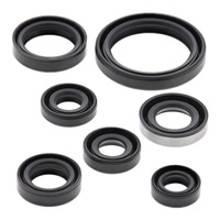 Oil Seal Kit for 2006-2016 Suzuki DRZ400S