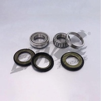 Steering Head Bearings for 2012-2014 Beta RR450 4T