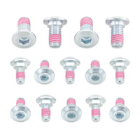 Bolt Brake Disc Bolts - Suzuki RM125 / RM250 - 2009SRTR125250
