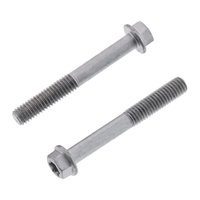 Bolt 8mm Euro Bolt 6x55mm (PK 10)