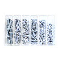 Bolt Motorbike Service Kit - SVC M6/M8 Button Allen Bolts - 90 Pieces 