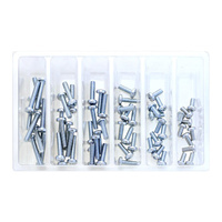 Bolt Motorbike SVC M5 Pan Head Phillips Service Kit - 120 pieces