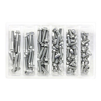 Bolt Motorbike SVC M6 Euro Torx Bolt Service Kit - 100 pieces