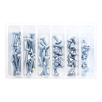 Bolt Motorbike SVC M6 Pan Head Phillips Service Kit - 120 Pieces