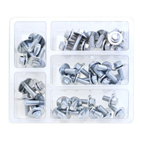 Bolt Motorbike SVC M6 Hex Flanged Bolt/Washer Service Kit - 40 Pieces