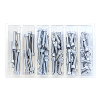 Bolt Motorbike SVC M6 Socket Head Allen Service Kit - 100 Pieces