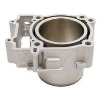 Cylinder for 2017-2017 Polaris Sportsman 570 Polaris Pursuit Camo