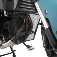 R&G Downpipe Grille for 2020-2025 BMW F900R