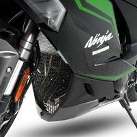 R&G Pro Downpipe Grille for 2025 Kawasaki Ninja 1100SX