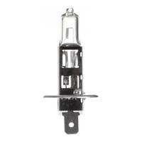 12V 55W H/L H1 Halogen Globe (ea)