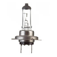 12V 55w H/L H7 Halogen Globe (ea)